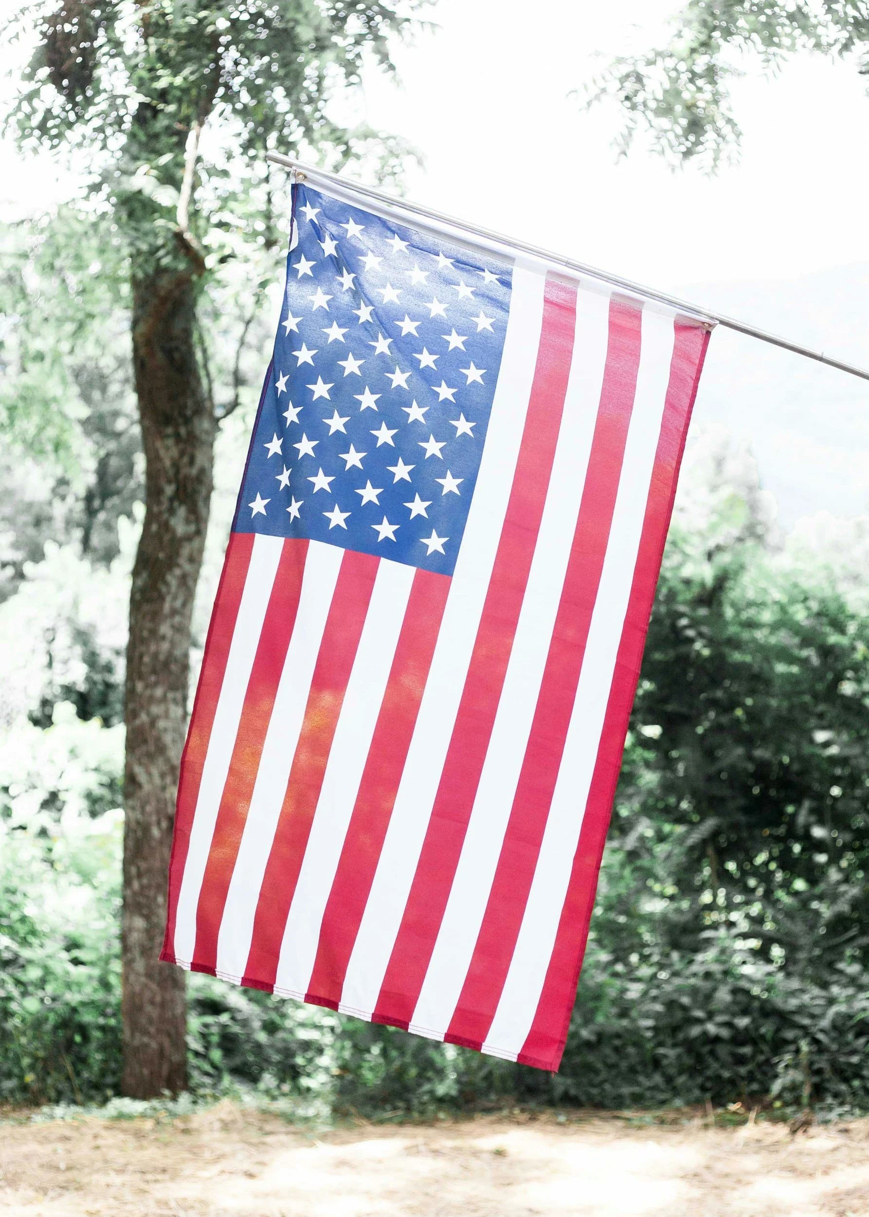 American flag among trees